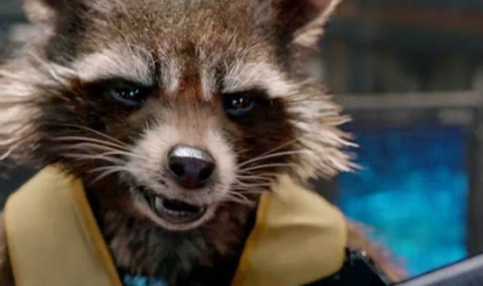 Rocket Raccoon pode participar de Vingadores: Guerra Infinita