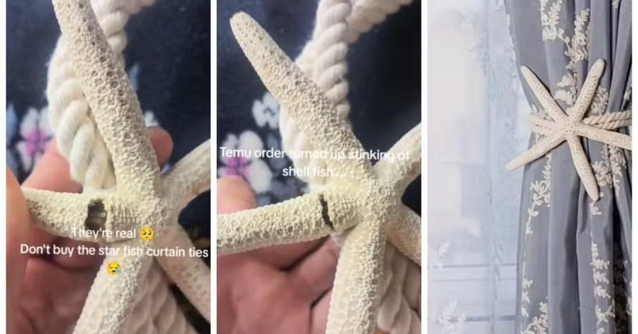 Cliente viraliza ao receber laço para cortina decorado com estrela-do-mar morta