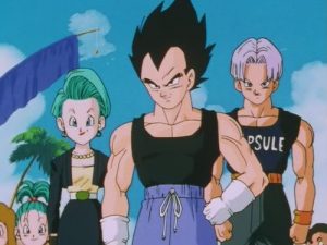 Vegeta4