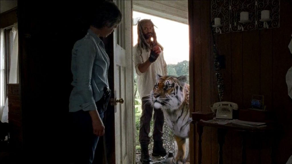 carol-ezekiel-e-shiva