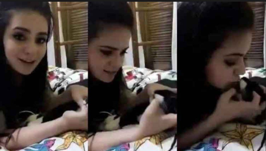 %%items%% personagens que tratam os animais pior do que a Viihtube