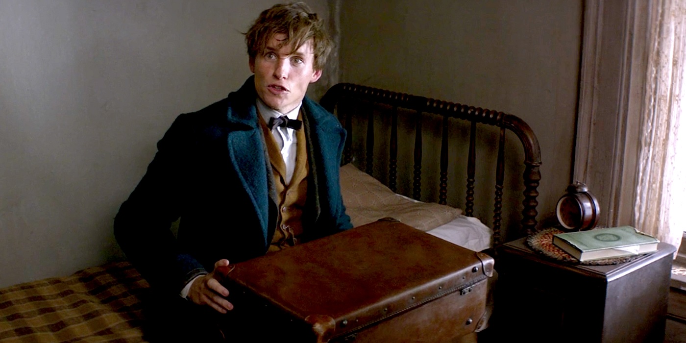 Newt Scamander, de Animais Fantásticos, já apareceu em Harry Potter