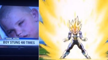 Menino canaliza como Vegeta para sobreviver a ataque de abelhas