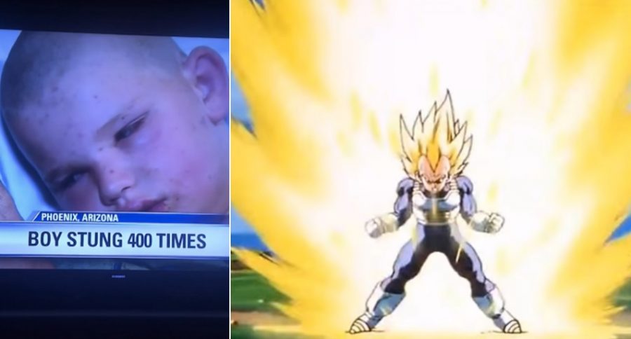 Menino canaliza como Vegeta para sobreviver a ataque de abelhas