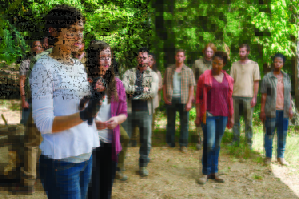 the walking dead-t82