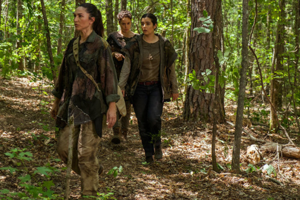 the walking dead-t83