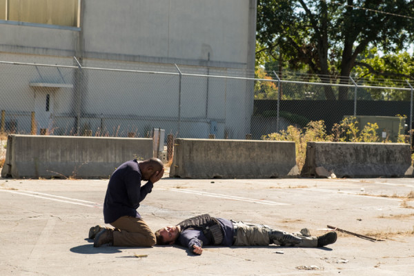 the walking dead-t88