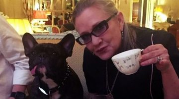 Cão de Carrie Fisher vê Star Wars: Os Últimos Jedi e reconhece a dona
