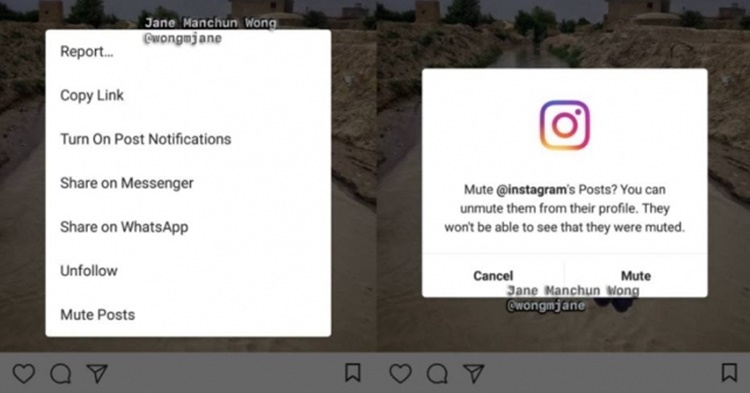 Instagram testa botão para silenciar usuário sem deixar de seguir