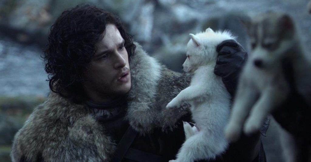 8ª temporada de Game of Thrones terá retorno do lobo de Jon Snow
