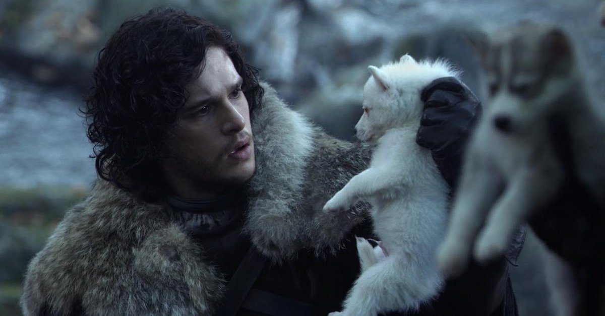 8ª temporada de Game of Thrones terá retorno do lobo de Jon Snow