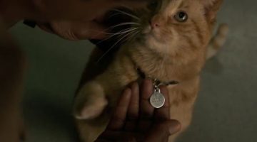 Nick Fury perdeu um olho por conta do gato da Capitã Marvel?