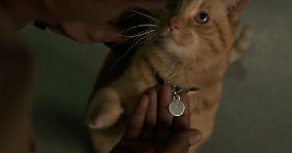 Nick Fury perdeu um olho por conta do gato da Capitã Marvel?