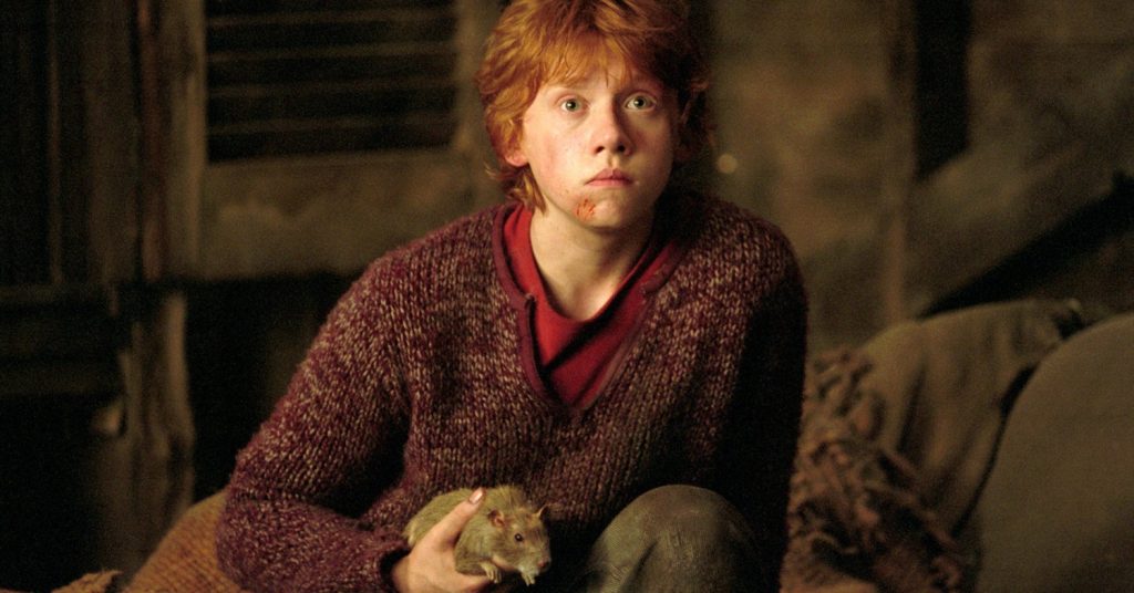harry potter
