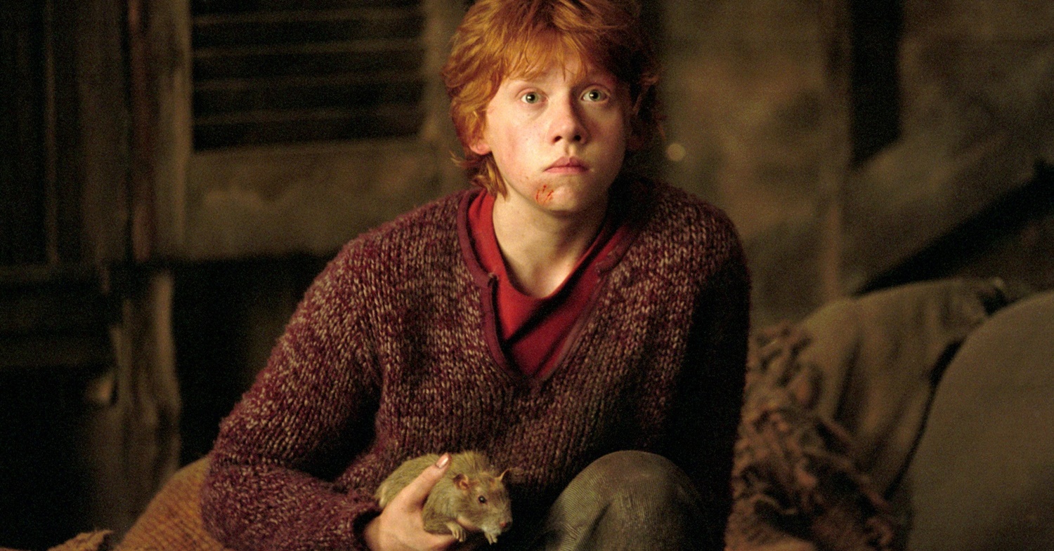 Harry Potter: Rupert Grint volta a comentar declarações polêmicas de J.K. Rowling