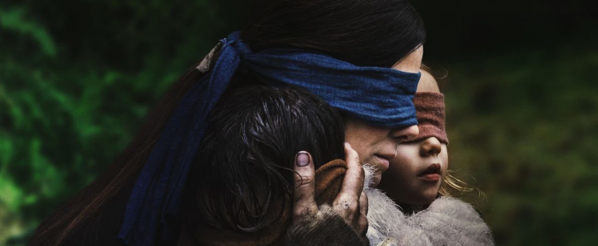 bird box