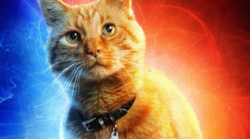 Gata Goose liga Capitã Marvel a Capitão América 2: O Soldado Invernal