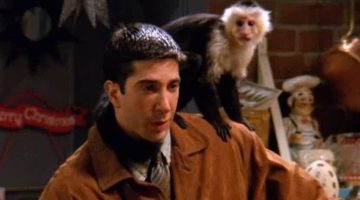 Friends: David Schwimmer, o Ross, não gostava de gravar com o macaco Marcel