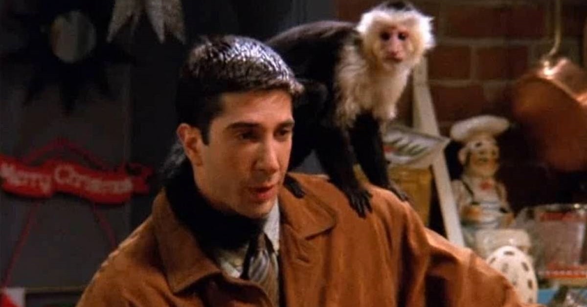 Friends: David Schwimmer, o Ross, não gostava de gravar com o macaco Marcel