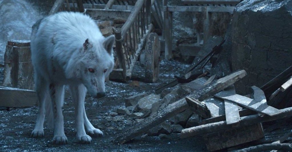Game of Thrones: por que Jon Snow não se despediu do Fantasma?