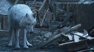 Game of Thrones: por que Jon Snow não se despediu do Fantasma?