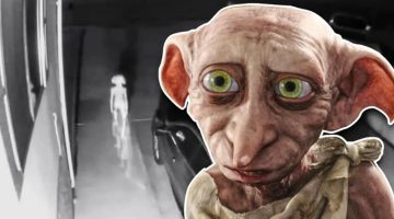 Harry Potter: internautas veem Dobby em vídeo de câmera de segurança