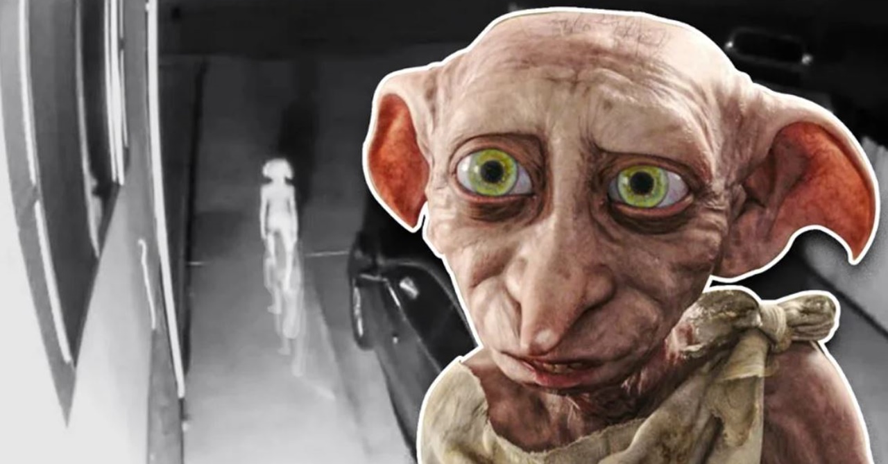 Harry Potter: internautas veem Dobby em vídeo de câmera de segurança