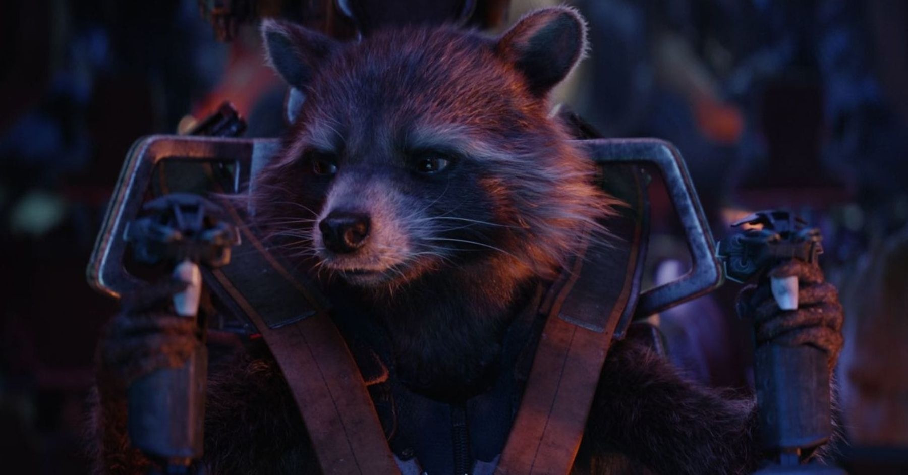 Rocket será importante em Guardiões da Galáxia Vol. 3, diz James Gunn