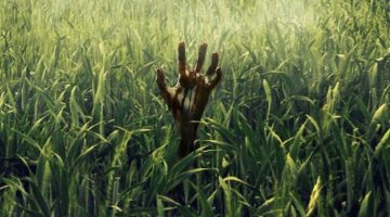Crítica: Adaptação de Stephen King, Campo do Medo é um terror decepcionante