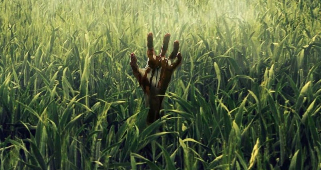 Crítica: Adaptação de Stephen King, Campo do Medo é um terror decepcionante