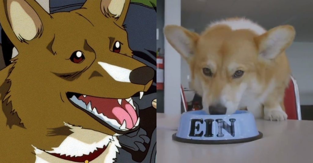 Cowboy Bebop: Netflix divulga vídeo sob perspectiva do cachorro Ein; assista