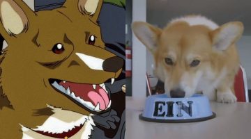 Cowboy Bebop: Netflix divulga vídeo sob perspectiva do cachorro Ein; assista