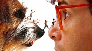 Querida, Encolhi as Crianças: Rick Moranis confirma retorno em sequência