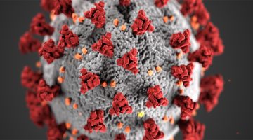O impacto do novo coronavírus na indústria do entretenimento