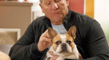 Modern Family: morre a cadelinha que interpretava Stella na série