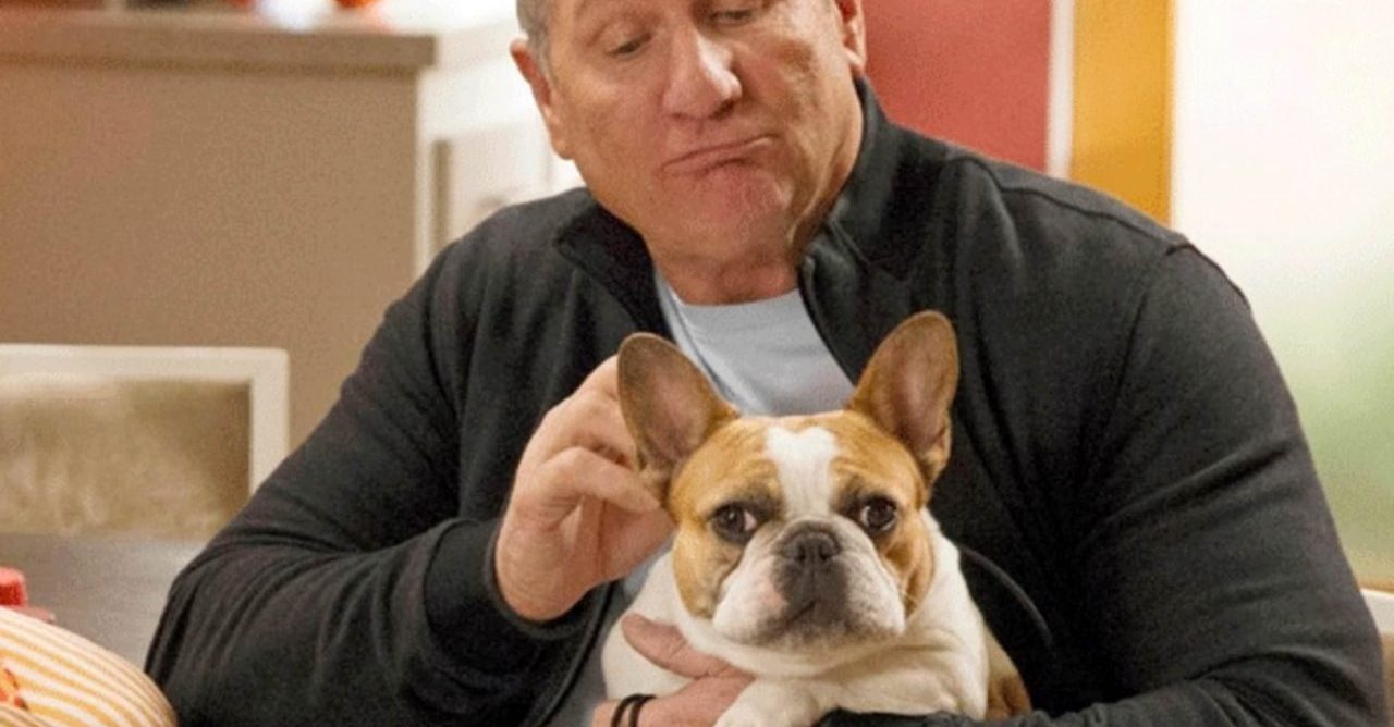 Modern Family: morre a cadelinha que interpretava Stella na série