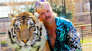 A Máfia dos Tigres: novo sucesso da Netflix explora excêntrico criador de felinos