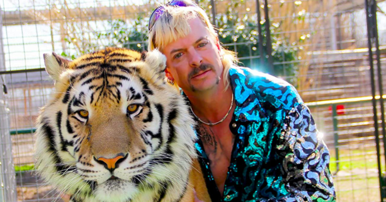 A Máfia dos Tigres: novo sucesso da Netflix explora excêntrico criador de felinos