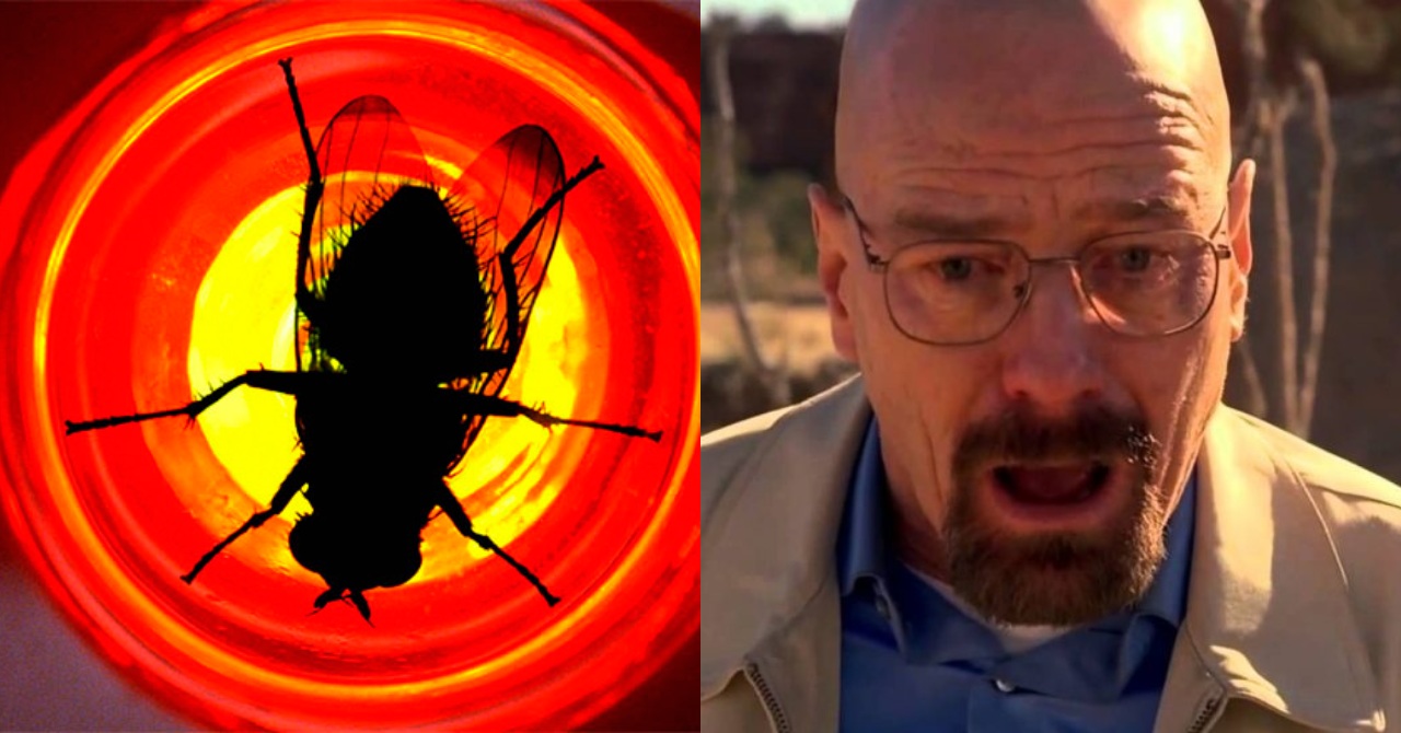Breaking Bad: diretor de Star Wars dirigiu o melhor episódio da série – e também o pior