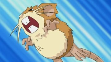 Pokémon: teoria sugere que jogador mata o Raticate do rival em Red & Blue