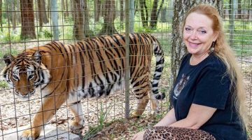 Tiger King: Carole Baskin vende antigo zoológico de Joe Exotic