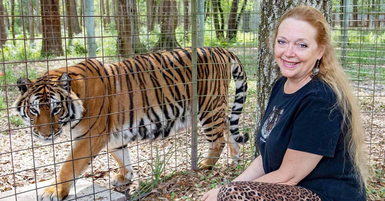 Tiger King: Carole Baskin vende antigo zoológico de Joe Exotic