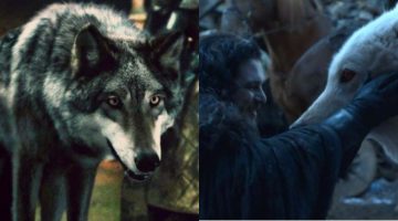 Relembre o destino dos Lobos Gigantes da Casa Stark em Game of Thrones