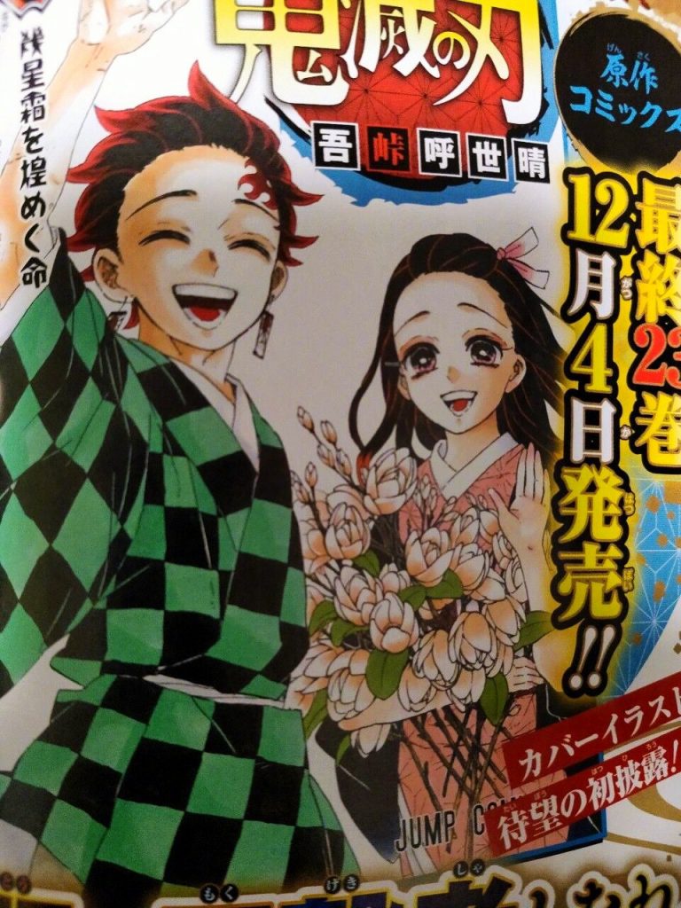 Demon Slayer-capa último volume mangá