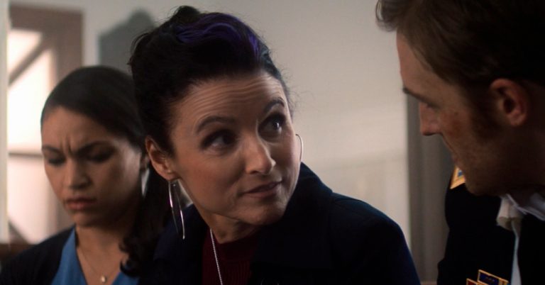 condessa valentina falcão e o soldado invernal