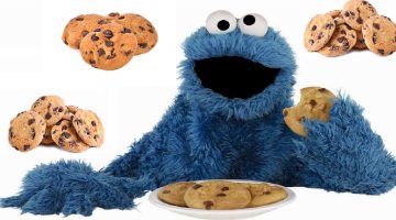 Devo ou não devo aceitar o uso de cookies em sites na Internet?