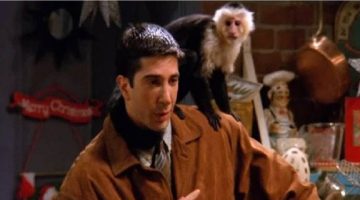 Friends: treinador de macaco diz que David Schwimmer sentia inveja do animal