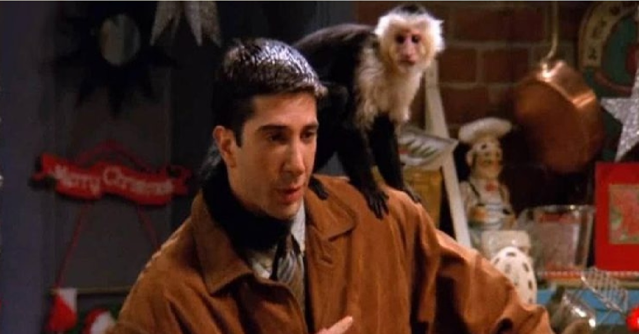 Friends: treinador de macaco diz que David Schwimmer sentia inveja do animal