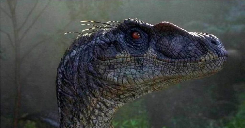 Jurassic World: Dominion revela nova espécie de raptor em foto com Chris Pratt