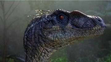 Jurassic World: Dominion revela nova espécie de raptor em foto com Chris Pratt